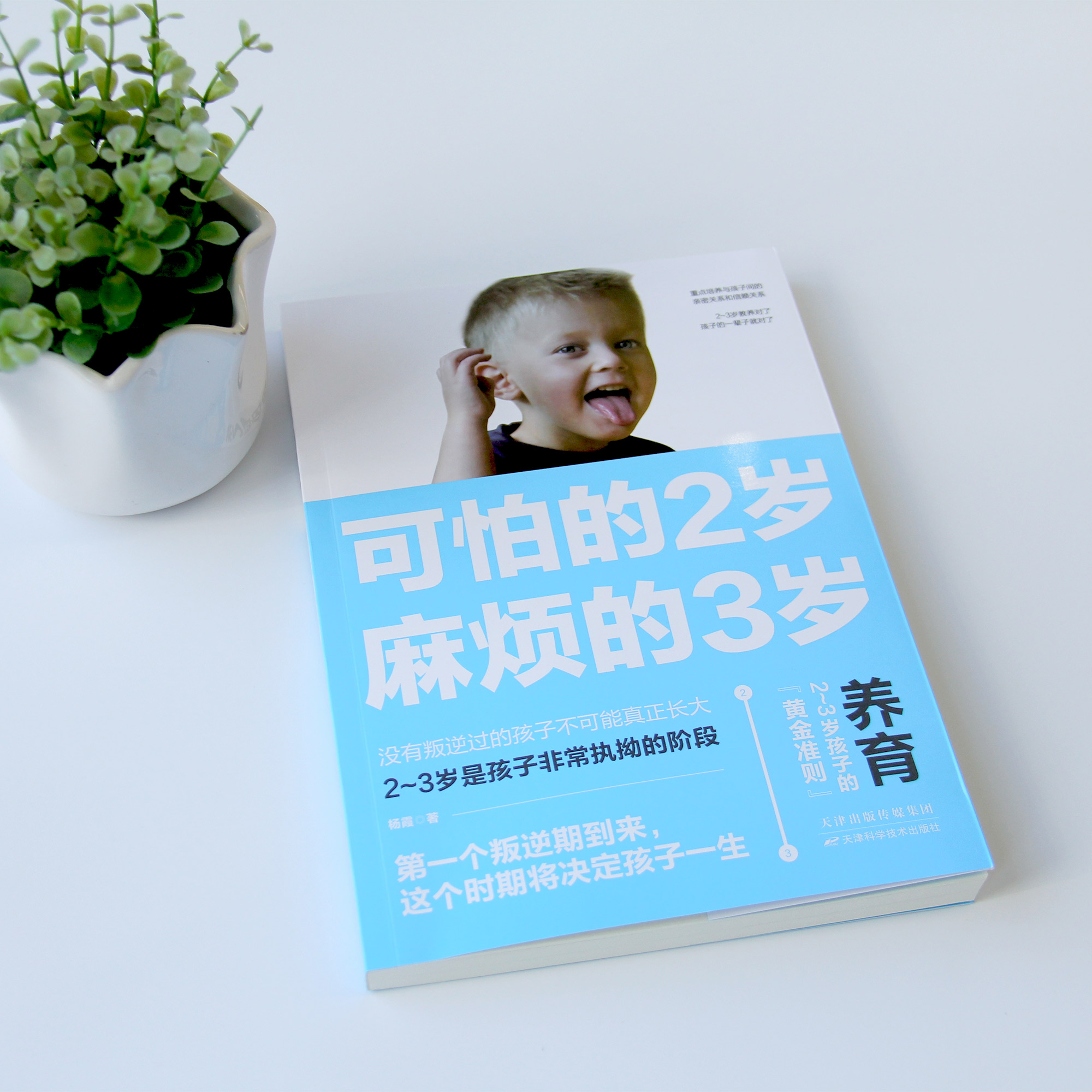 正版包邮可怕的两岁2岁麻烦的3岁庭教育书籍好习惯养成早教育儿百科男