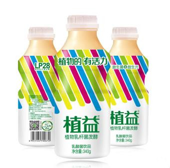 植益 植物乳酸菌发酵 清真饮料 340ml*12瓶 整箱