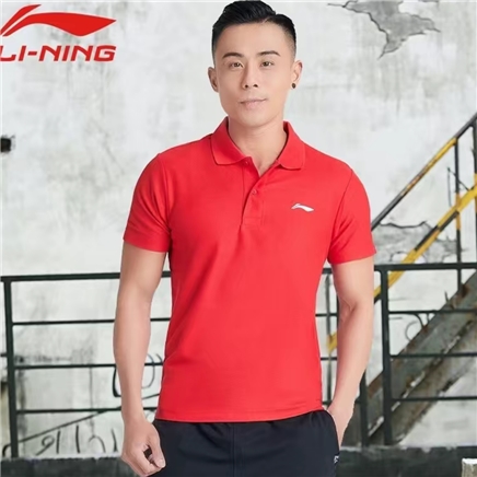 ƴڲ  ʿ˶POLO