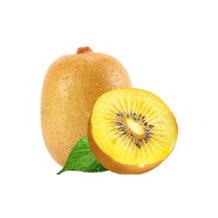 帆儿庄园 西峡黄心金猕猴桃 30枚 单果60-80g