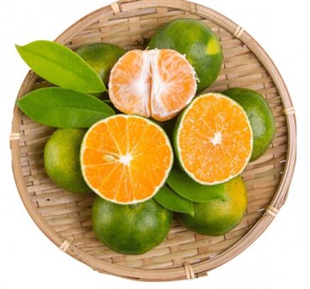 XILUOKE ϡ��� �˲��޺��۽� 5��װ