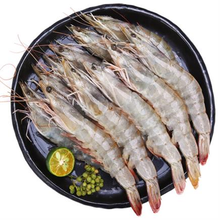 PLUS��Ա������ʳ �䶳��϶����Ϻ ��Ϻ400g/�� 20-25ֻ*3�� 89Ԫ��˫���Żݣ���29.6Ԫ/����