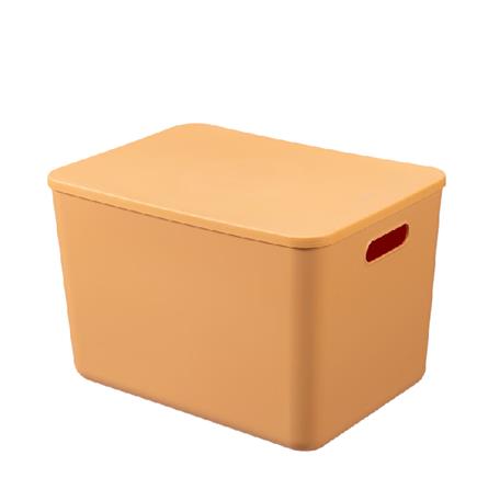 京东特价APP：DOCOXO 大号桌面收纳盒 暮色橙 24L