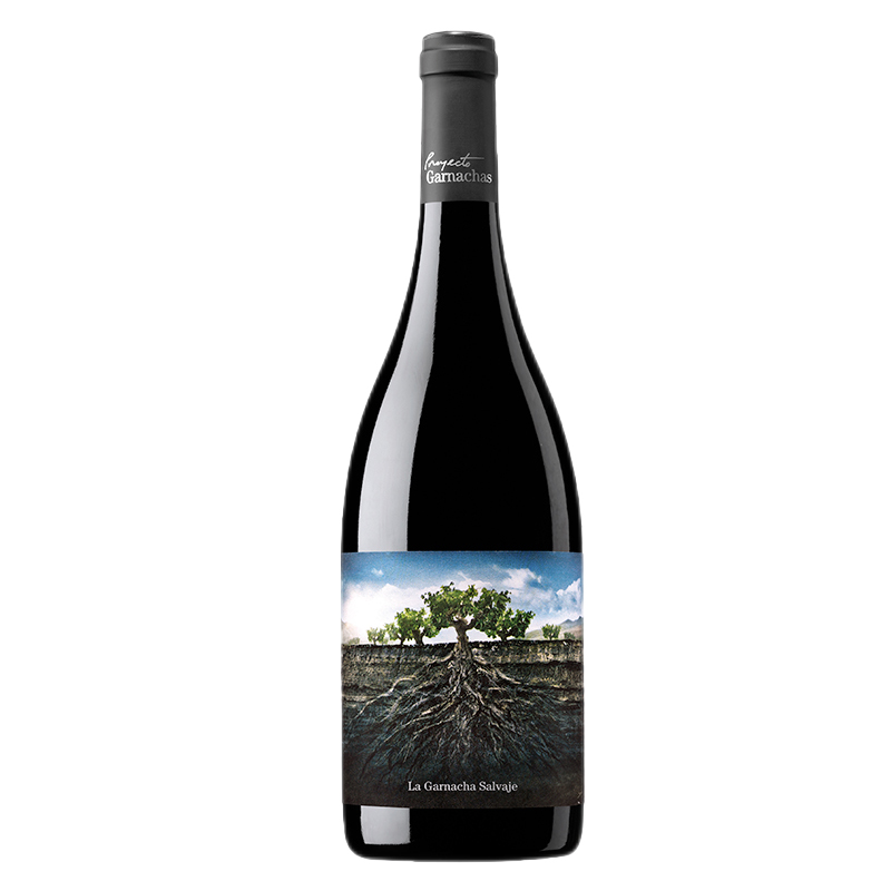 拍2件西班牙格兰蒙卡救难者老树藤歌海娜干红葡萄酒