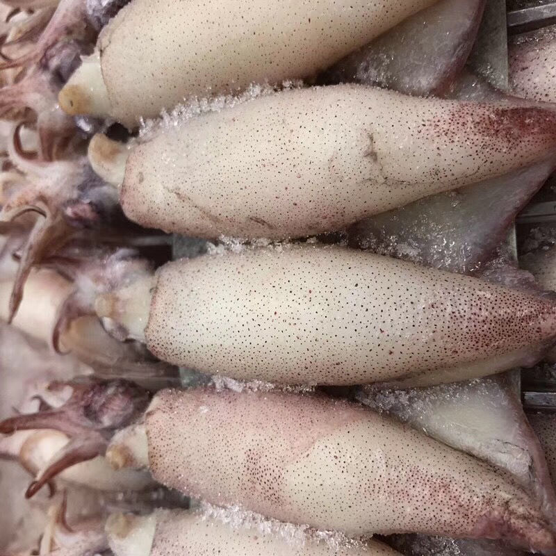 steelmate铁将军t177无线胎压监测仪内置