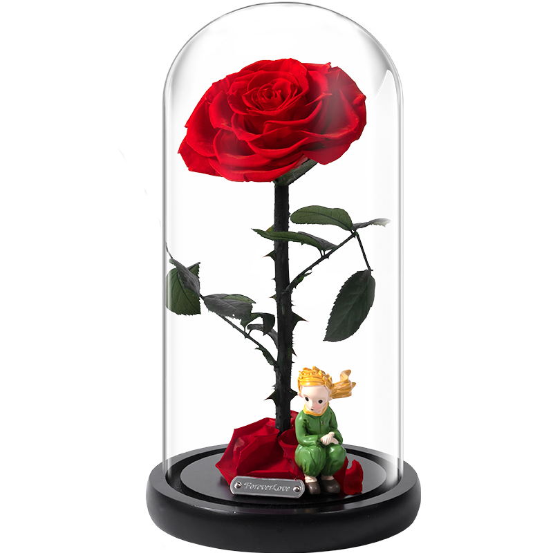 8三八妇女节女神节礼物小王子玫瑰花送女生朋友闺蜜纪念日表白实用