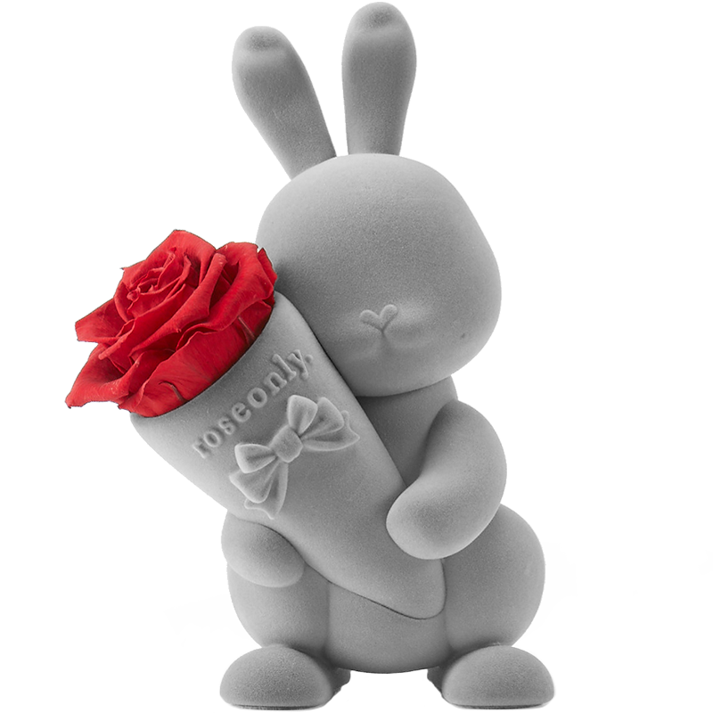 roseonly(诺誓)永生花玫瑰甜心兔礼盒生日礼物送女朋友结婚纪礼物