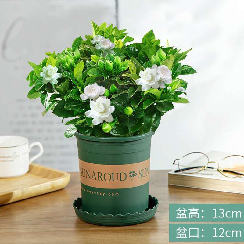 花点时间自然混合系列花束包月鲜花同城速递新鲜直发花束批发家用