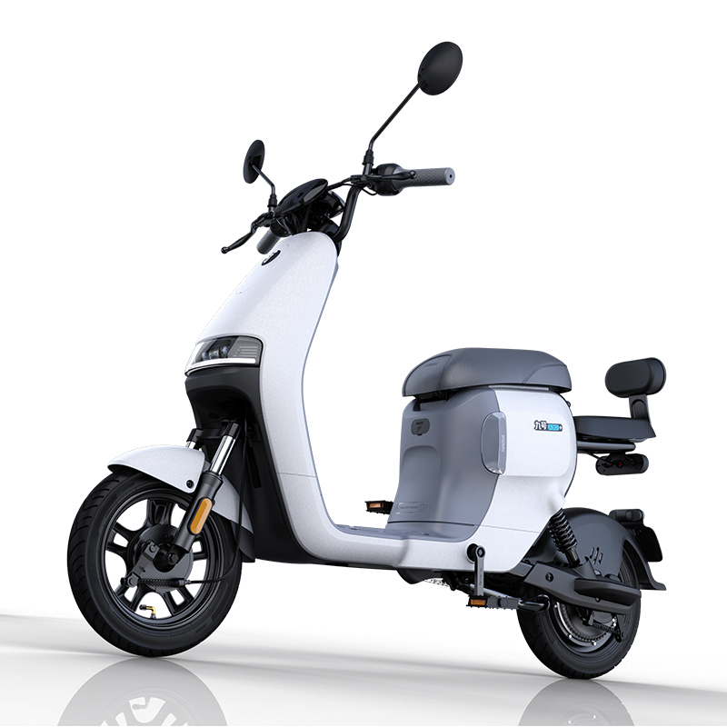 ninebot九号电动滑板车成年便携站骑代步车折叠电动车大人踏板f20