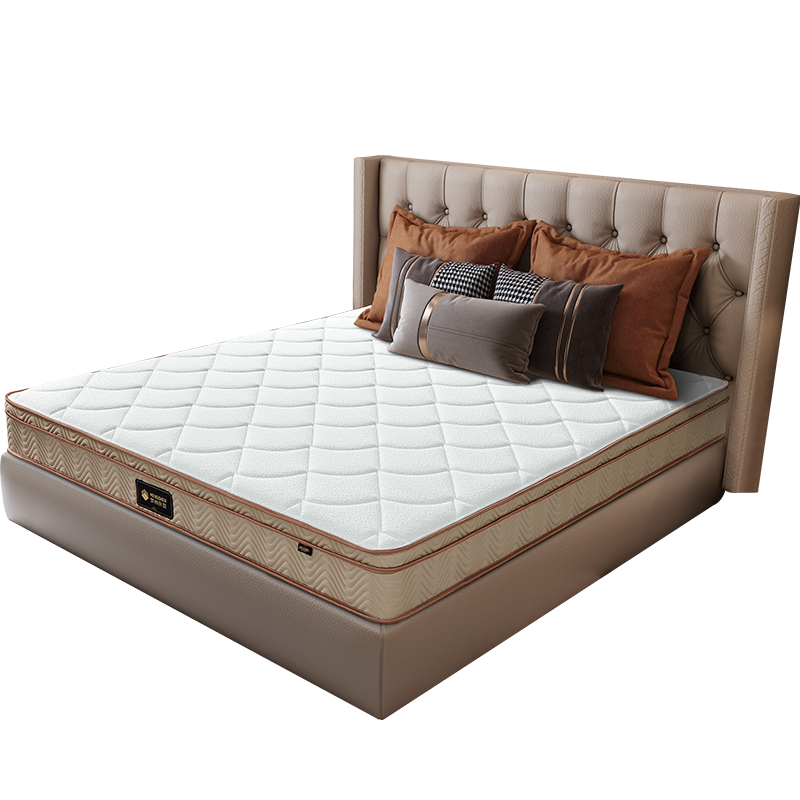 梦神床垫 偏硬睡感抗菌整网床垫 弹簧床垫 双面可用1.