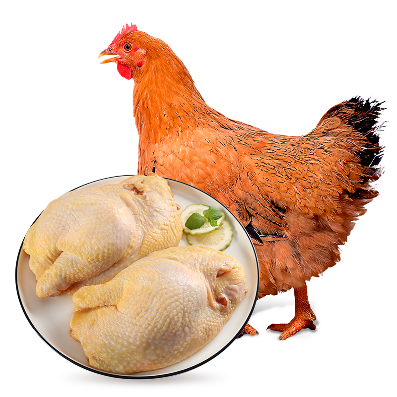 拍3件 温氏 供港土鸡半边鸡1kg (500g*2) 高品质供港鸡 农家生态放养