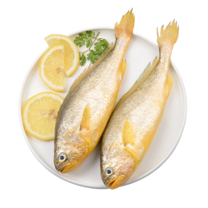 初醉之家舟山黄花鱼新鲜冷冻小黄鱼海鲜水产清蒸红烧烧烤油炸含冰3000