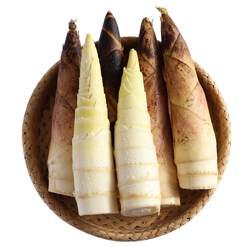 慢友专享-抵现红包:珍果妙 临安天目山新鲜春笋 5斤