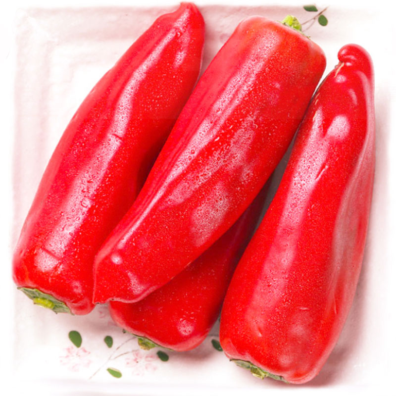 慢友专享-抵现红包:馨仙 大红辣椒 净重9斤