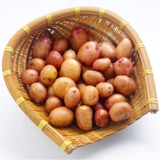 女神节福利,慢友专享-抵现红包:施家林 云南红皮黄心小土豆 带箱10斤,