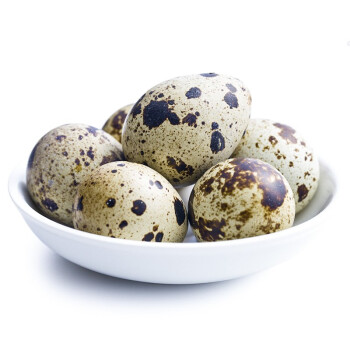 美淘小生 新鲜生鹌鹑蛋 100枚送5枚