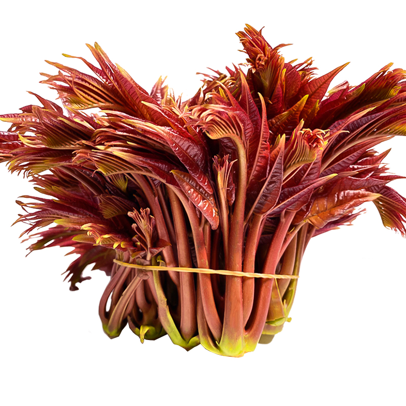 合16元/斤,慢友专享-抵现红包:千谷恋 新鲜头茬红油香椿芽 2斤