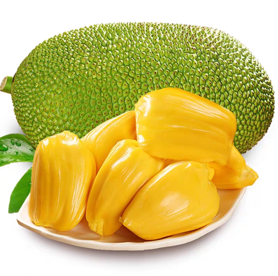 秦品源海南菠萝蜜2530斤