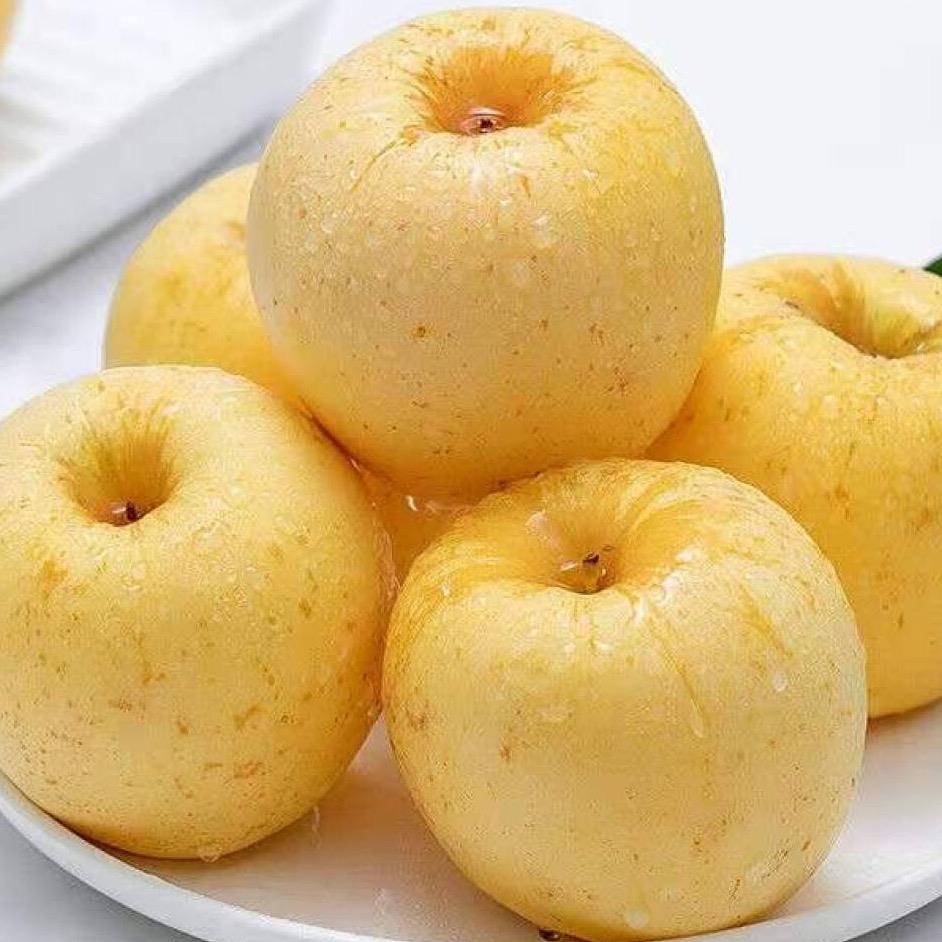 集邻品鲜奶油富士苹果5斤装