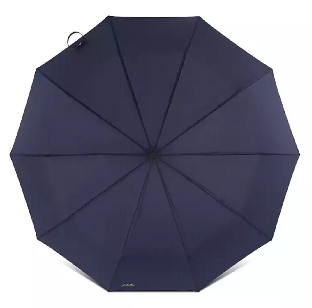 paradise天堂伞全自动伞10骨58cm