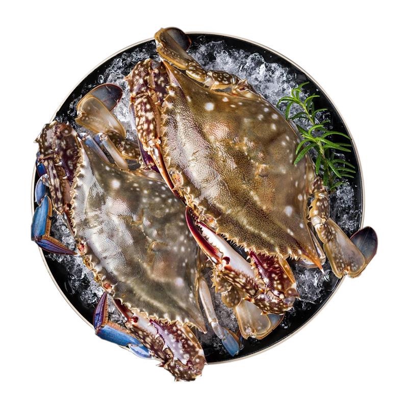 plus会员:首鲜道 螃蟹舟山梭子蟹 5斤 4-9两/只