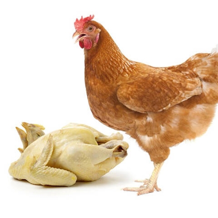 大用冷冻生鲜鸡三黄鸡整只约850g只3只装