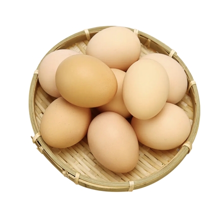 京东极速版寻鲜鸟五谷喂养土鸡蛋10枚装