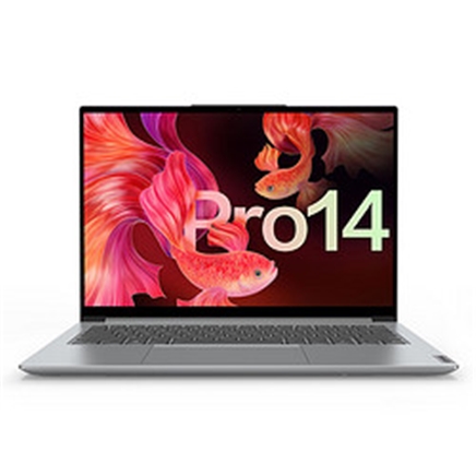 拼多多百亿补贴:lenovo 联想 小新pro14 锐龙版 14英寸笔记本电脑(r7