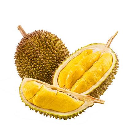 静益乐源金枕头榴莲一个装约23斤