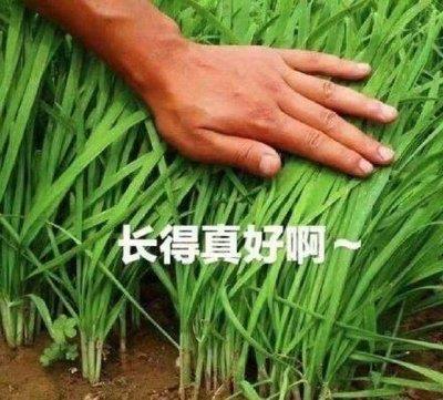 书单推荐韭菜自我进阶的投资理财好书